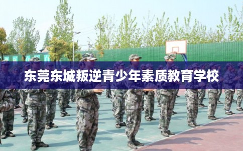 东莞东城叛逆青少年素质教育学校