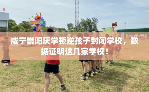 咸宁崇阳厌学叛逆孩子封闭学校，数据证明这几家学校！