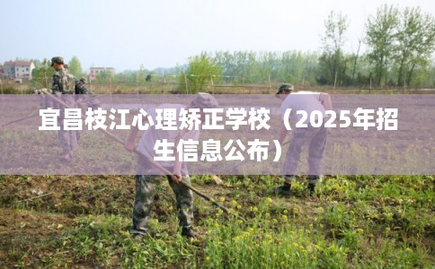 宜昌枝江心理矫正学校（2025年招生信息公布）