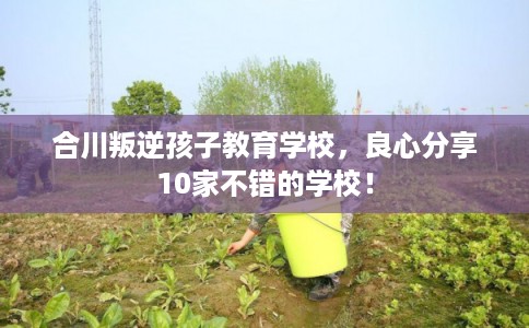 合川叛逆孩子教育学校，良心分享10家不错的学校！