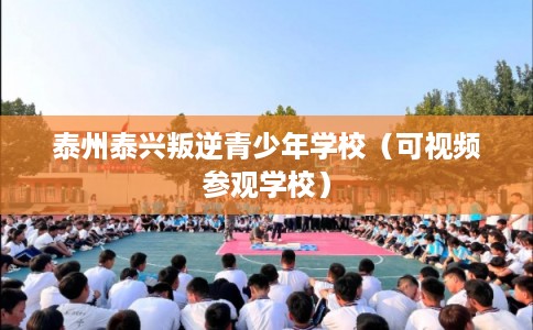 泰州泰兴叛逆青少年学校（可视频参观学校）