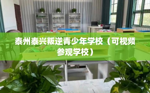 泰州泰兴叛逆青少年学校（可视频参观学校）