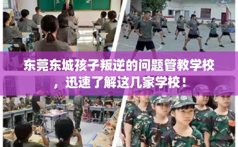 东莞东城孩子叛逆的问题管教学校，迅速了解这几家学校！