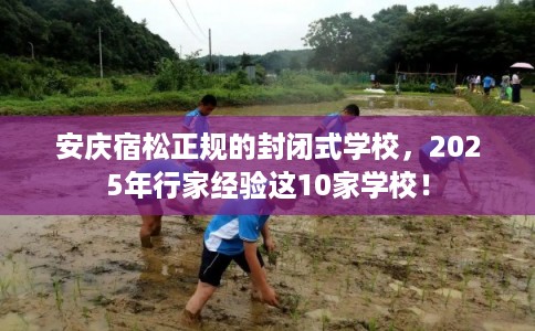 安庆宿松正规的封闭式学校，2025年行家经验这10家学校！