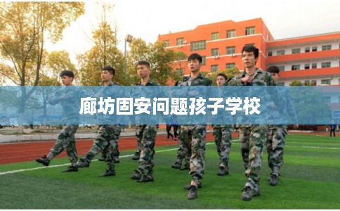 廊坊固安问题孩子学校
