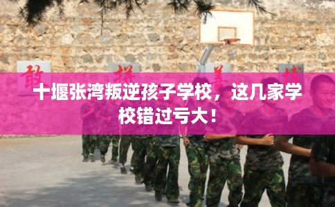 十堰张湾叛逆孩子学校，这几家学校错过亏大！