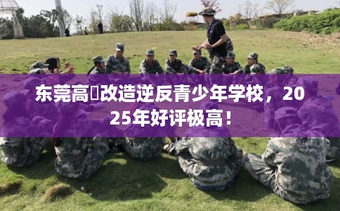 东莞高埗改造逆反青少年学校，2025年好评极高！