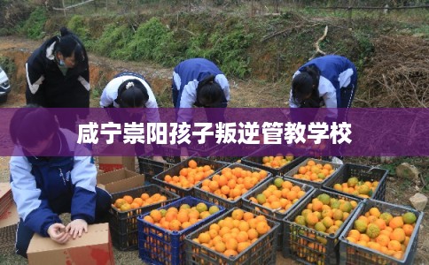 咸宁崇阳孩子叛逆管教学校