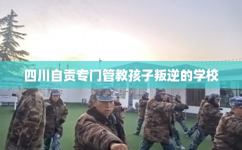 四川自贡专门管教孩子叛逆的学校