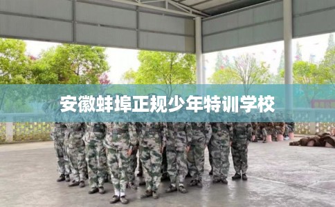 安徽蚌埠正规少年特训学校