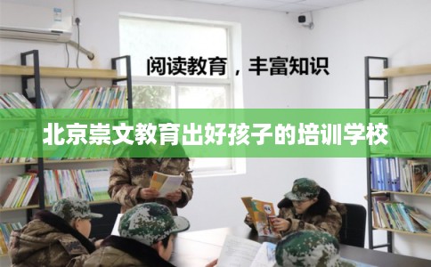 北京崇文教育出好孩子的培训学校