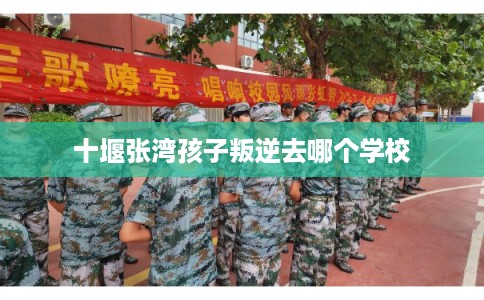 十堰张湾孩子叛逆去哪个学校