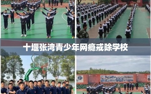 十堰张湾青少年网瘾戒除学校