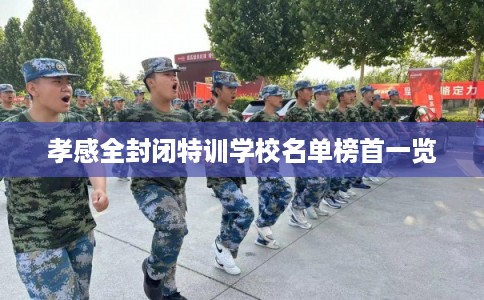 孝感全封闭特训学校名单榜首一览