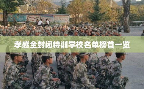 孝感全封闭特训学校名单榜首一览