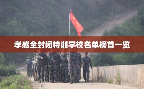 孝感全封闭特训学校名单榜首一览