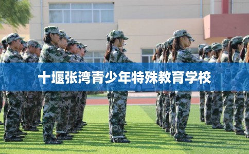 十堰张湾青少年特殊教育学校