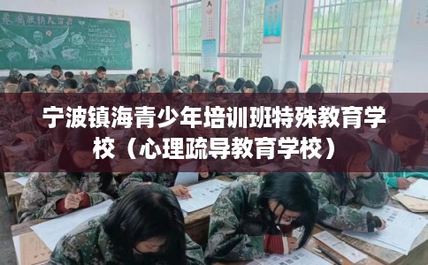 宁波镇海青少年培训班特殊教育学校（心理疏导教育学校）
