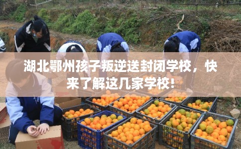 湖北鄂州孩子叛逆送封闭学校，快来了解这几家学校!