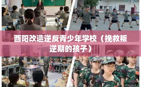 酉阳改造逆反青少年学校（挽救叛逆期的孩子）
