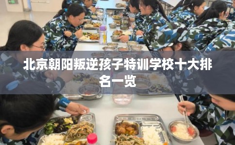 北京朝阳叛逆孩子特训学校十大排名一览