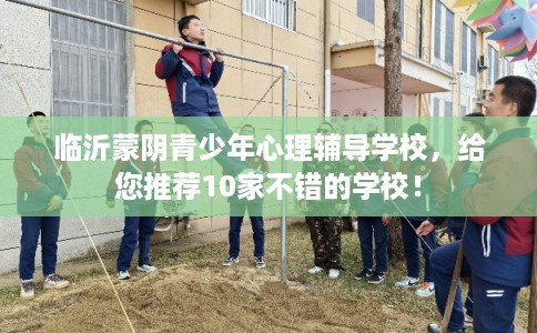 临沂蒙阴青少年心理辅导学校，给您推荐10家不错的学校！