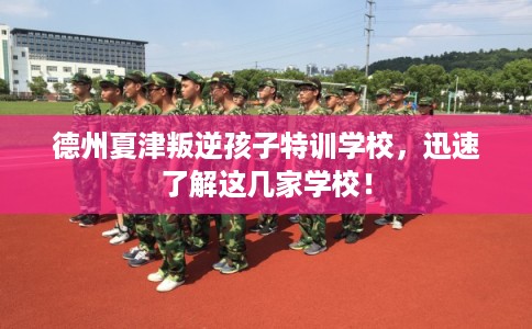 德州夏津叛逆孩子特训学校，迅速了解这几家学校！