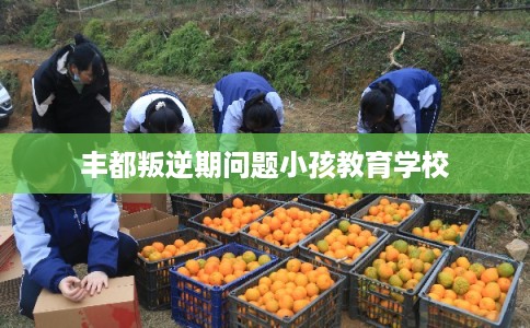 丰都叛逆期问题小孩教育学校