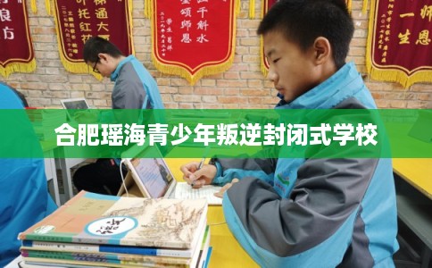 合肥瑶海青少年叛逆封闭式学校