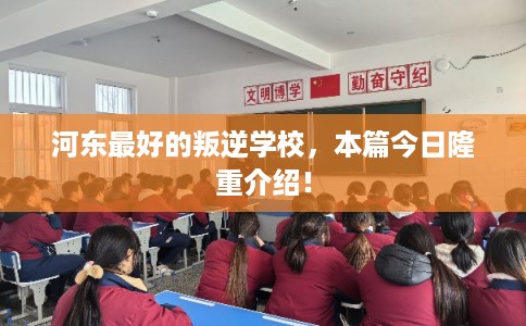 河东最好的叛逆学校，本篇今日隆重介绍！