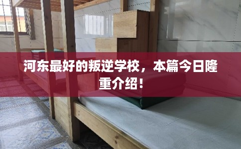 河东最好的叛逆学校，本篇今日隆重介绍！