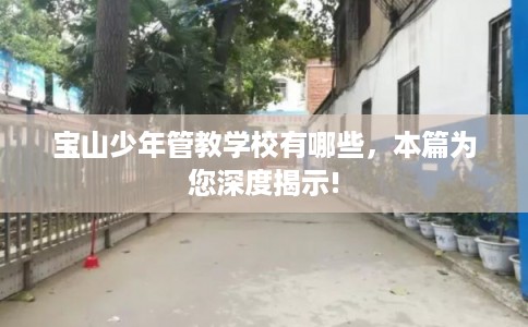 宝山少年管教学校有哪些，本篇为您深度揭示!