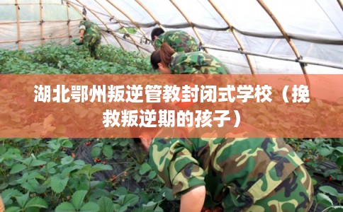 湖北鄂州叛逆管教封闭式学校（挽救叛逆期的孩子）