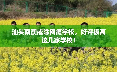 汕头南澳戒除网瘾学校，好评极高这几家学校！