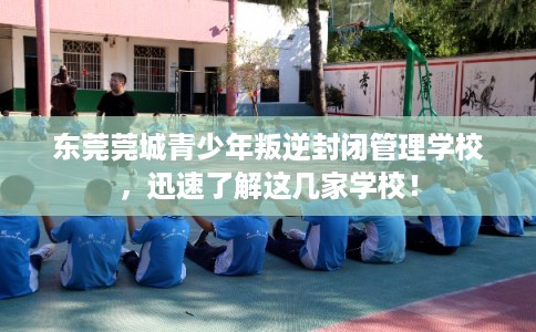 东莞莞城青少年叛逆封闭管理学校，迅速了解这几家学校！