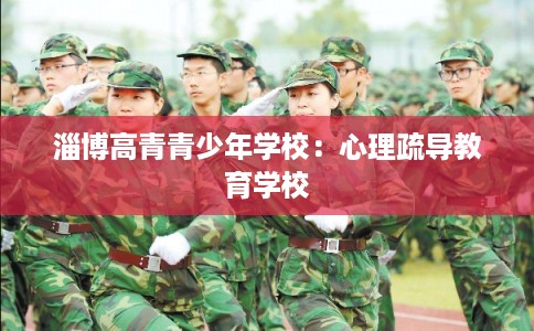 淄博高青青少年学校：心理疏导教育学校