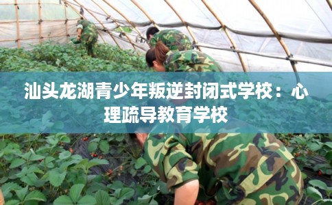 汕头龙湖青少年叛逆封闭式学校：心理疏导教育学校