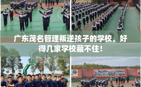 广东茂名管理叛逆孩子的学校，好得几家学校藏不住！
