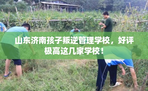 山东济南孩子叛逆管理学校，好评极高这几家学校！