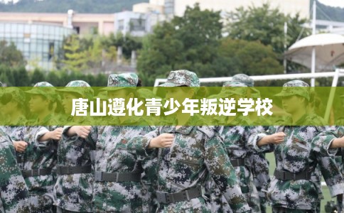 唐山遵化青少年叛逆学校