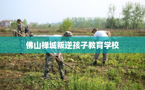 佛山禅城叛逆孩子教育学校