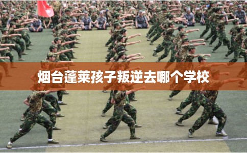 烟台蓬莱孩子叛逆去哪个学校