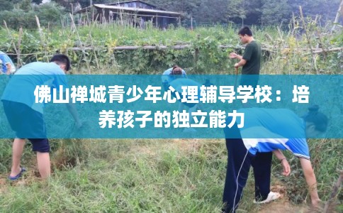 佛山禅城青少年心理辅导学校：培养孩子的独立能力