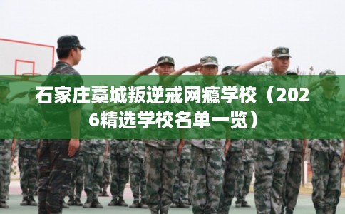 石家庄藁城叛逆戒网瘾学校（2026精选学校名单一览）