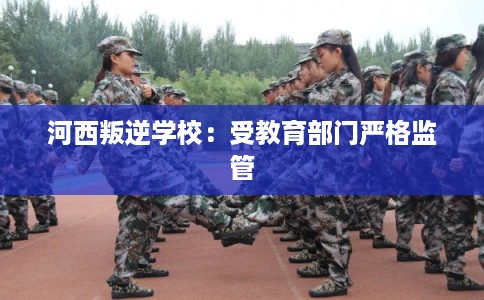 河西叛逆学校：受教育部门严格监管