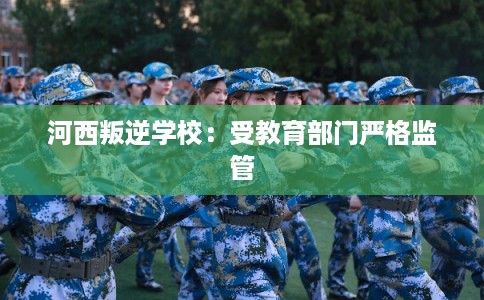 河西叛逆学校：受教育部门严格监管