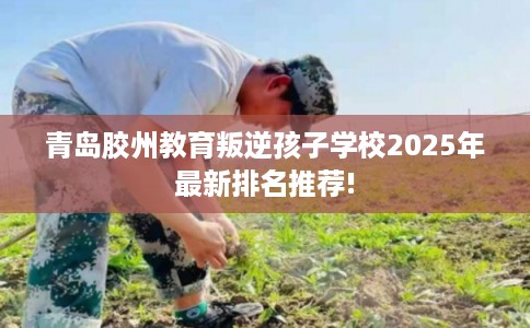 青岛胶州教育叛逆孩子学校2025年最新排名推荐!
