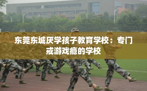 东莞东城厌学孩子教育学校：专门戒游戏瘾的学校