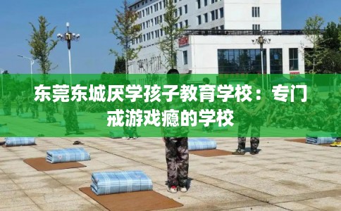 东莞东城厌学孩子教育学校：专门戒游戏瘾的学校
