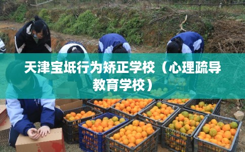 天津宝坻行为矫正学校（心理疏导教育学校）